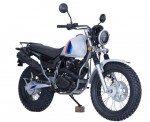 �������� SCOUT TW250 PR300